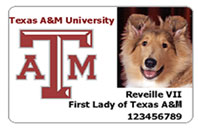 Texas A&M University ID Card
